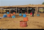 رسیدن آب به دحیماوی و رفیع - خوزستان