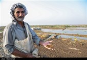 رسیدن آب به دحیماوی و رفیع - خوزستان