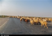 رسیدن آب به دحیماوی و رفیع - خوزستان