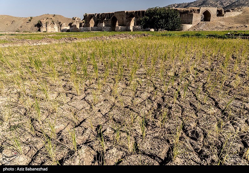 استان لرستان , بحران آب , بحران آب ایران , اخبار خشکسالی | خشکسالی ,