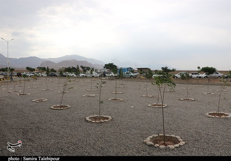 استان کرمان , آرامستان ,