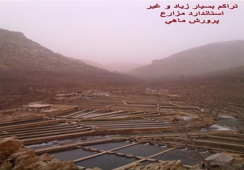 پایش و نظارت در محیط زیست , استانداری کرمانشاه , کشاورزی , دانشگاه های جمهوری اسلامی ایران , مرکز پژوهشهای مجلس شورای اسلامی ,