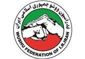 خاطیان ووشو نقره داغ شدند