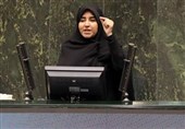 فلاحی: کشورهای اسلامی اجازه ندهند جای شهید و جلاد در قبال فلسطین عوض شود