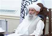 تمجید طالبان از مثنوی معنوی