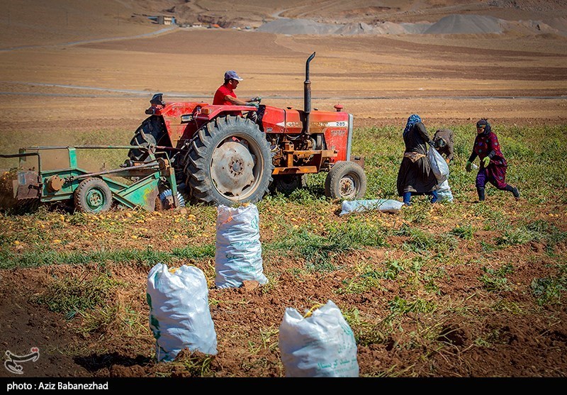 استان لرستان , بحران آب , کشاورزی , اخبار خشکسالی | خشکسالی ,