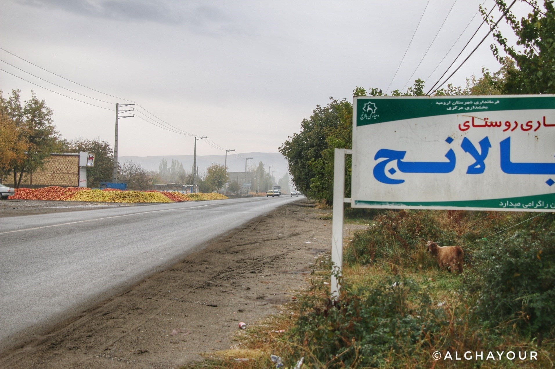 بازار میوه ,