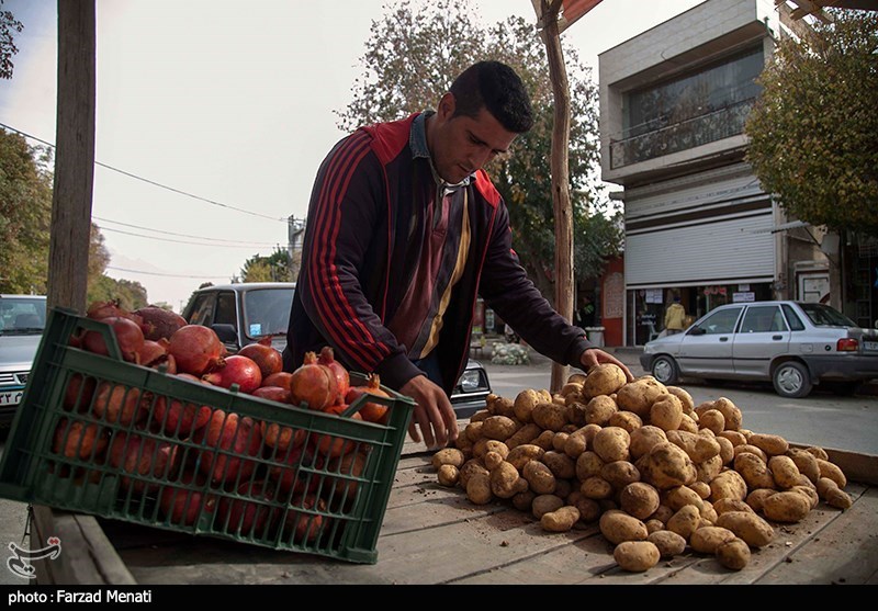 جودو ایران , جودو , 