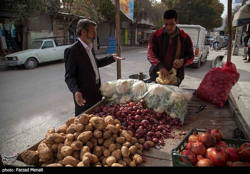 جودو ایران , جودو , 
