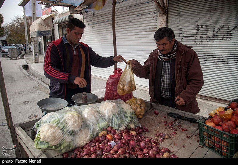 جودو ایران , جودو , 