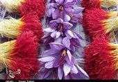 ماجرای سود 700 میلیارد تومانی که به جیب زعفران کاران نرفت + اسناد
