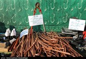 پنجاه و یکمین طرح رعد پلیس پیشگیری