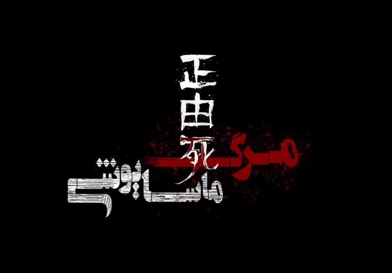 سینما , فیلم , مستند , جشنواره بینالمللی سینما حقیقت ,