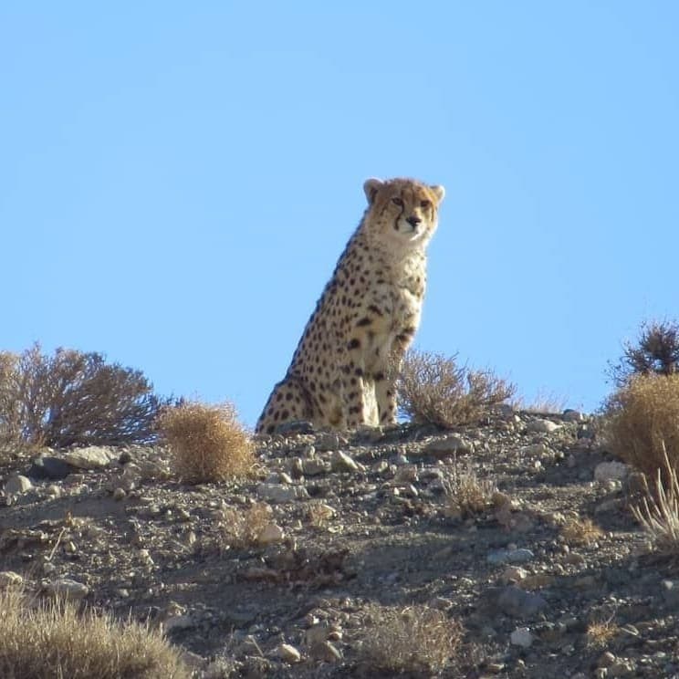 طبیعت , سازمان محیط زیست ,