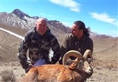 "ممنوعیت صدور مجوز شکار برای اتباع آمریکایی" همچنان پابرجا است