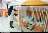 شیرخوارگاه رُفیده مختص کودکان معلول و مجهول‌الهویه