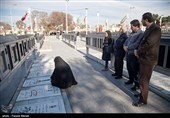 مادر شهید مدافع حرم حمید سیاهکالی