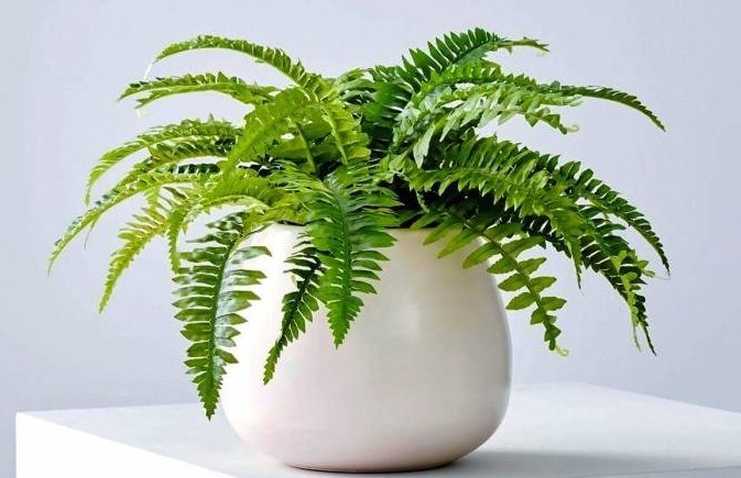 آلودگی هوا ,