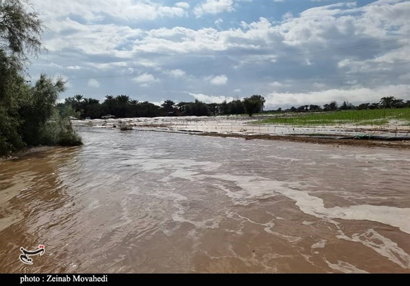 استان کرمان , سیل , سیل زده , 