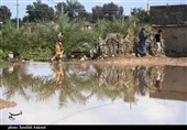 ثبت بارش در 10 ایستگاه هواشناسی کرمان/ قلعه‌گنج رکورددار بارندگی شد