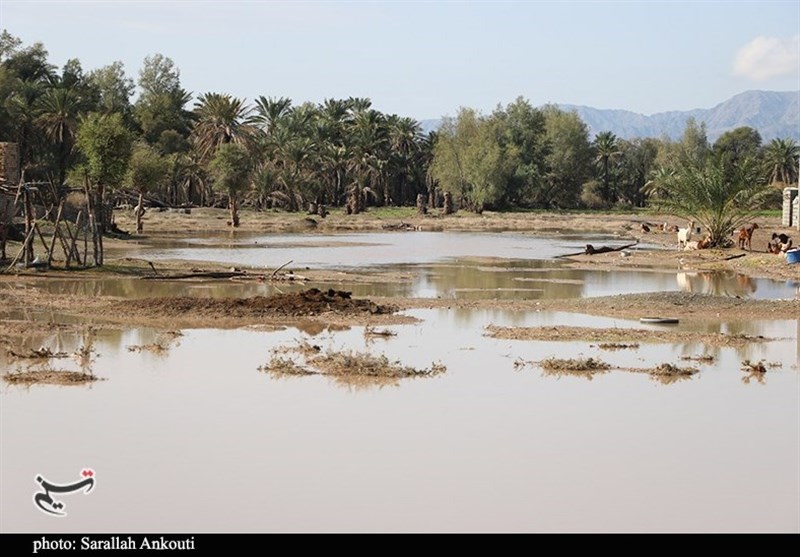 استان کرمان , سیل , سیل زده , 