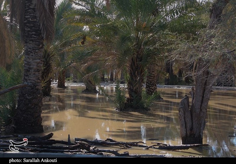 استان کرمان , سیل , سیل زده , 