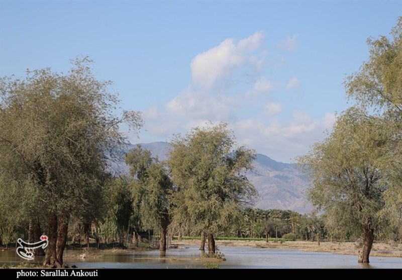 استان کرمان , سیل , سیل زده , 