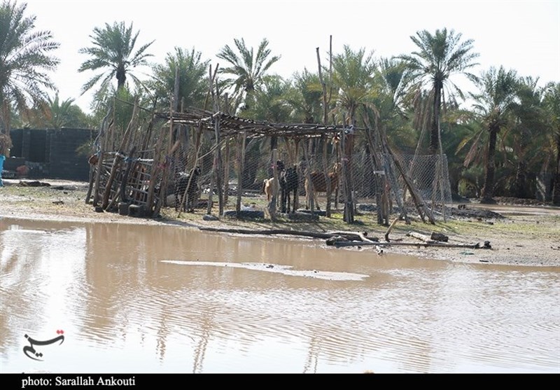 استان کرمان , سیل , سیل زده , 