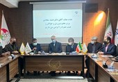 سجادی: فدراسیون انجمن‌های ورزشی یک سازمان تربیت بدنی است