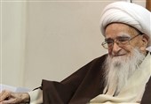 آیت‌الله صافی گلپایگانی مرجعی بصیر در صیانت از دین و وحدت امت بود