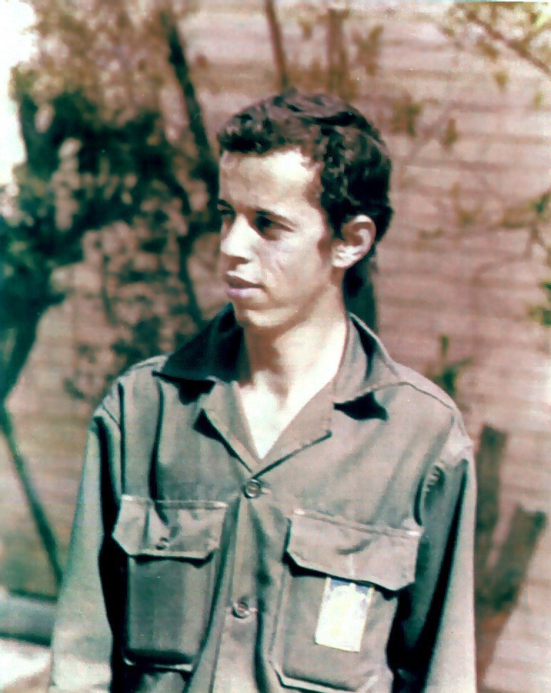 شهید حسن باقری , دفاع مقدس , امام خمینی , 
