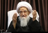 سروده‌ای از آیت‌الله صافی گلپایگانی| "لطفی صافی" بگو با وجد و شوق/ یا ولیّ عصر ما زان توایم