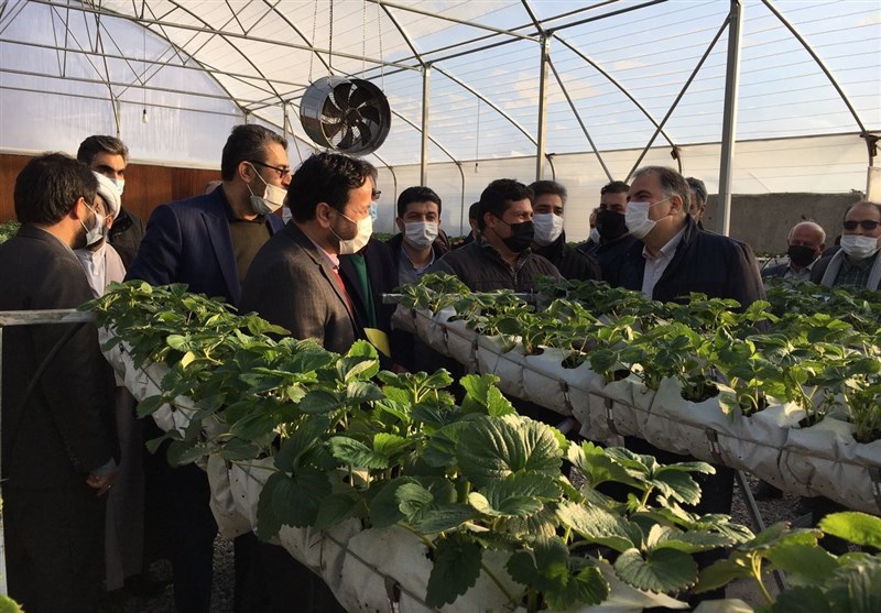 استانداری زنجان , تولید ملی , دهه فجر انقلاب اسلامی ,