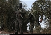 مانور الوعد المفعول 4- غزه