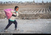 اجرای فاز نخست جمع‌آوری کودکان کار و خیابانی ایرانی در کلانشهرها