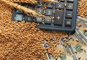 کرایه حمل و نقل هر کیلو گندم در کشت قراردادی 100 تومان تعیین شد