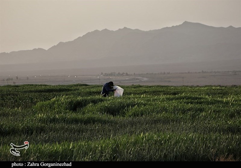 استان کرمان , 