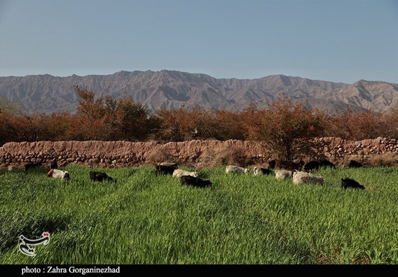 استان کرمان , 