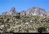 طبیعت کوه گنو بندرعباس