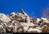 طبیعت کوه گنو بندرعباس