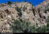 طبیعت کوه گنو بندرعباس