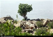 طبیعت کوه گنو بندرعباس