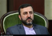 روشنگری درباره اغتشاشات در دیدار غریب‌آبادی با نمایندگان 100 کشور
