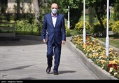 محمدعلی زلفی گل وزیر علوم،‌ تحقیقات و فناوری  در حاشیه جلسه امروز هیئت دولت