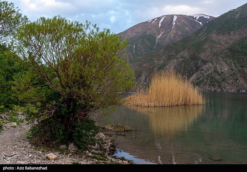 سازمان محیط زیست , استان لرستان , اخبار استان لرستان , 