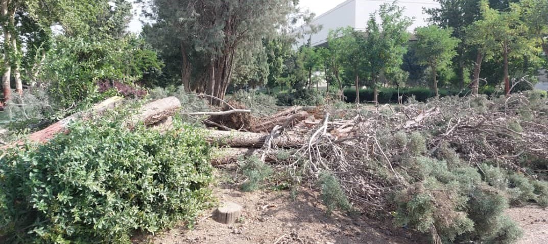 ورزشگاه آزادی ,