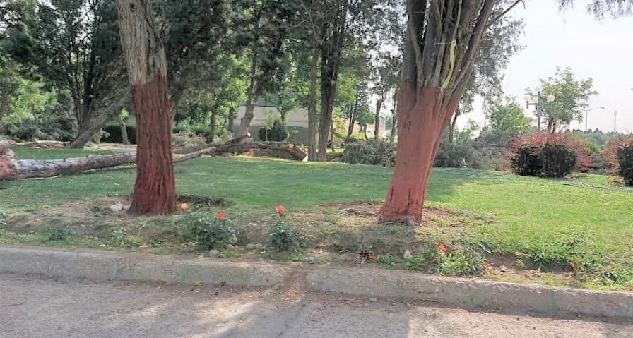 ورزشگاه آزادی ,
