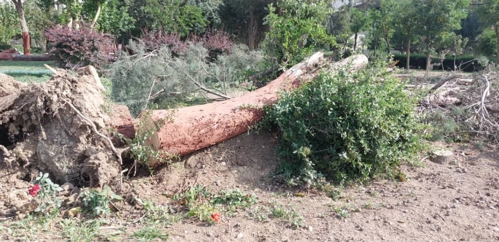 ورزشگاه آزادی ,