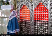 حال و هوای کربلا در شام میلاد امام رضا (ع) 