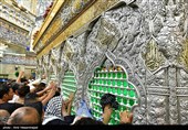 حال و هوای کربلا در شام میلاد امام رضا (ع) 